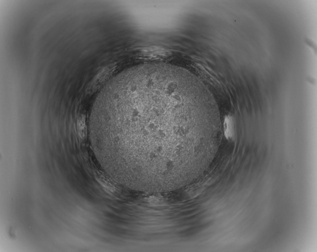 X0000091311395200708171404