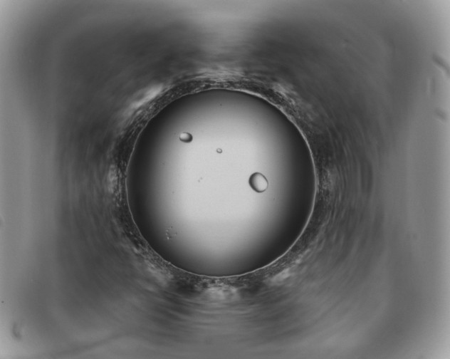 X0000091311398200708171404