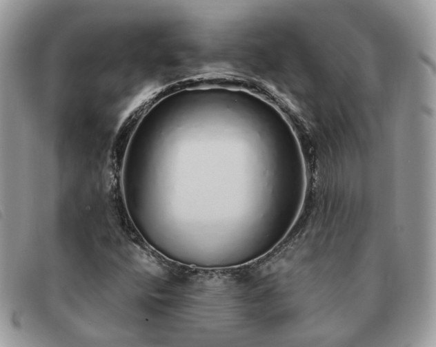 X0000091311400200708171404