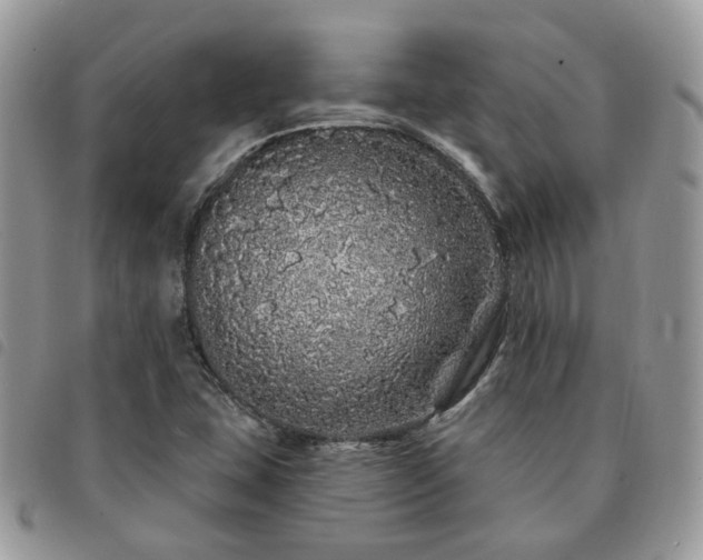 X0000091311407200708171404