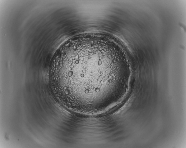 X0000091311409200708171404