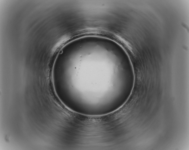 X0000091311411200708171404