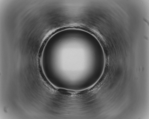 X0000091311412200708171404