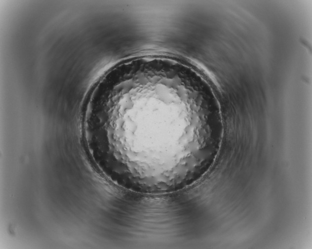 X0000091311415200708171404