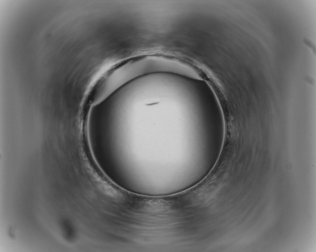 X0000091311416200708171404