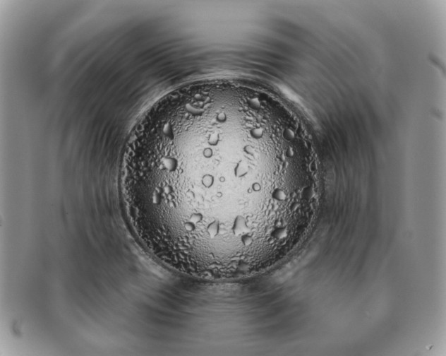 X0000091311417200708171405