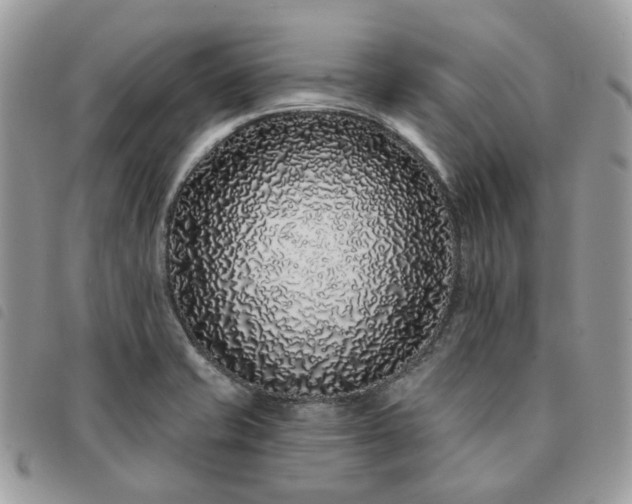 X0000091311421200708171405