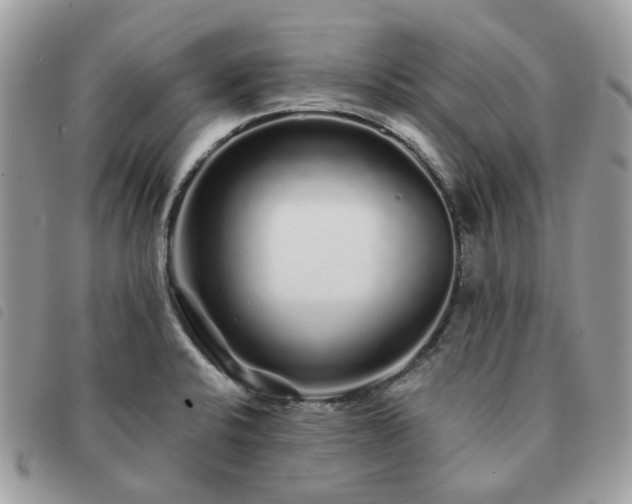 X0000091311424200708171405