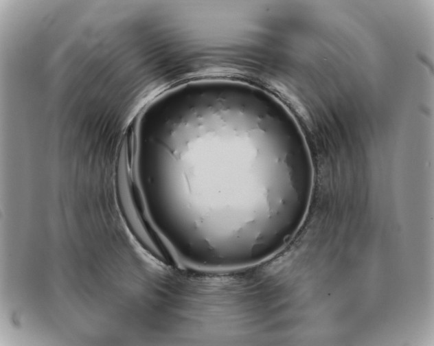 X0000091311425200708171405