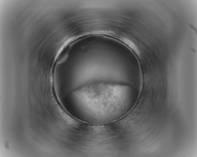 X0000091311428200708171405