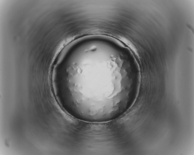 X0000091311429200708171405