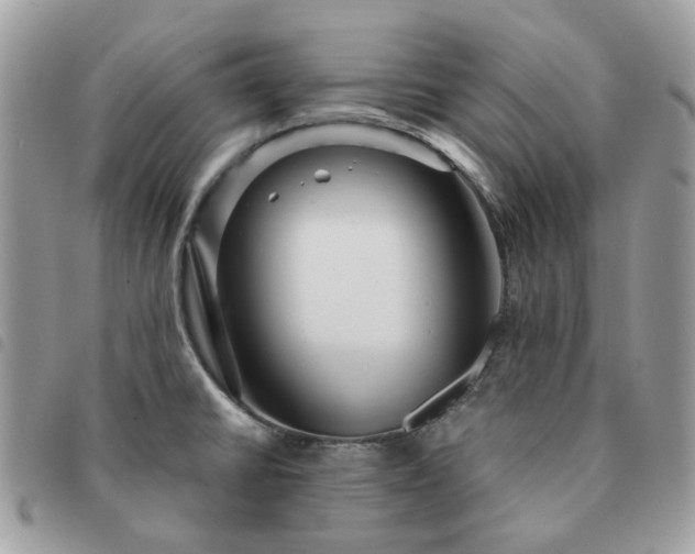 X0000091311430200708171405