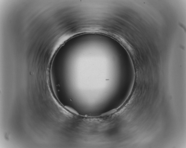 X0000091311432200708171405