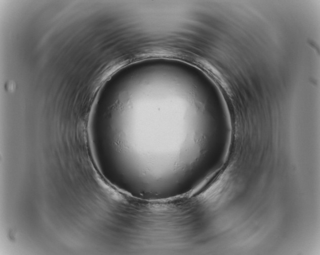 X0000091311433200708171405