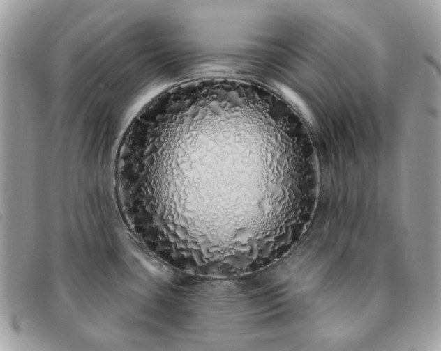 X0000091311435200708171405