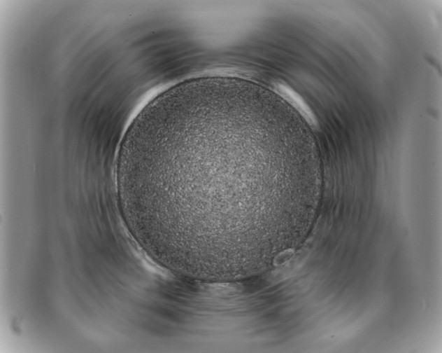 X0000091311436200708171405