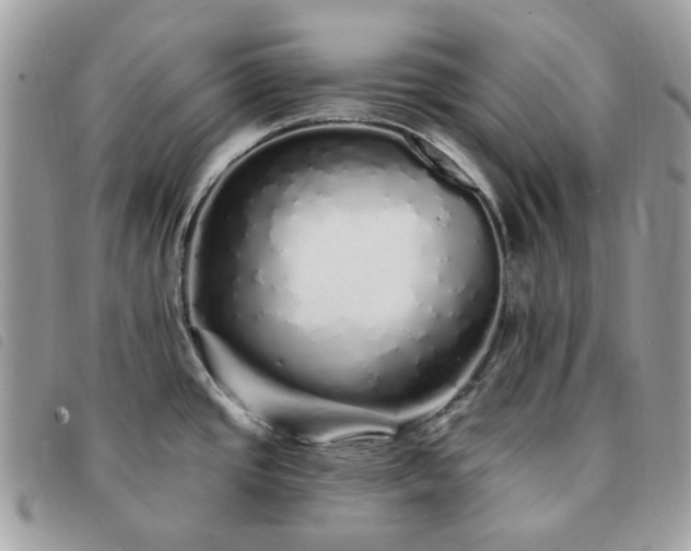 X0000091311437200708171405