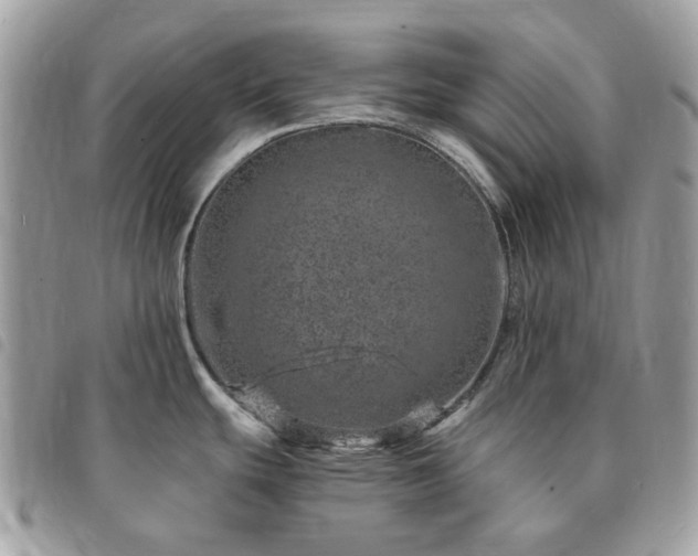 X0000091311439200708171405