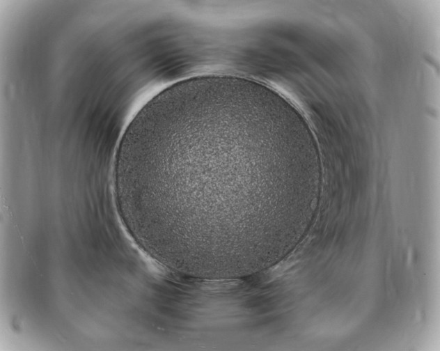 X0000091311440200708171405