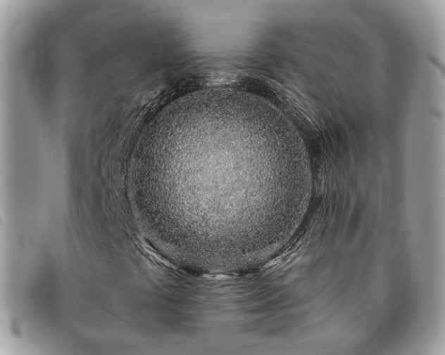 X0000091311441200708171404