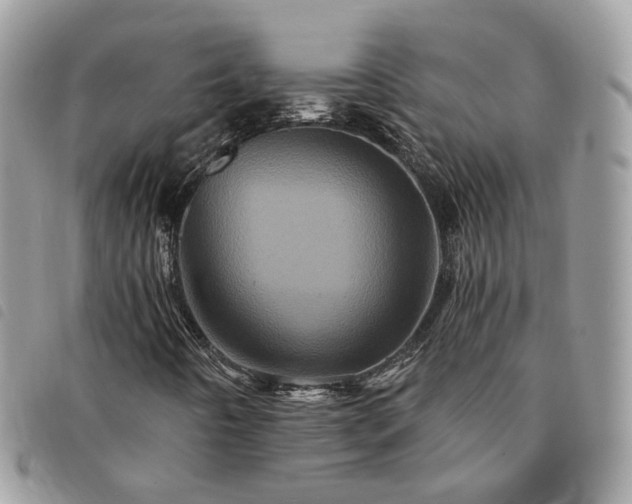 X0000091311442200708171404