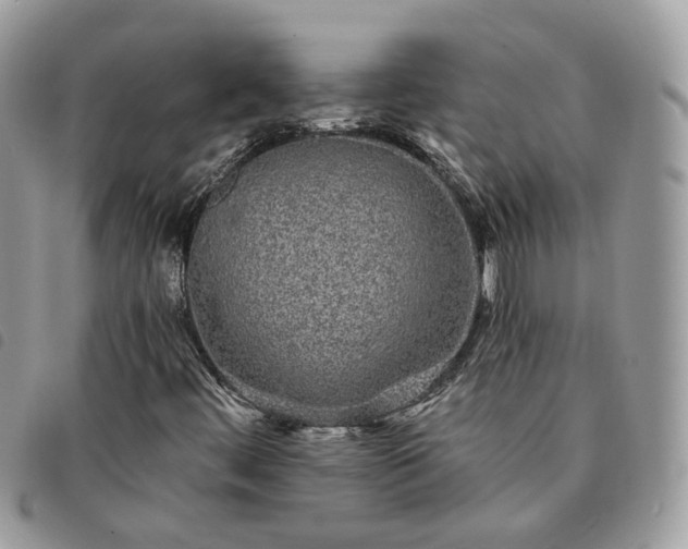 X0000091311444200708171404