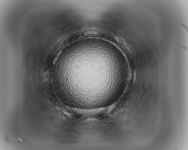 X0000091311445200708171404