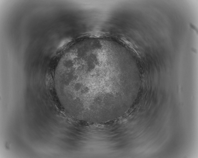 X0000091311446200708171404