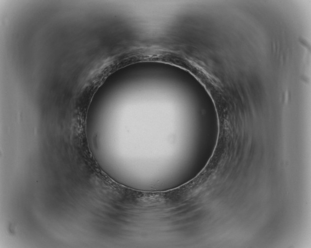 X0000091311447200708171404