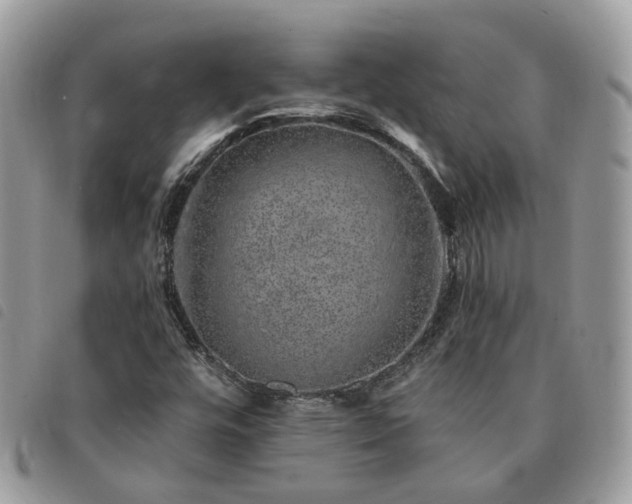 X0000091311448200708171404