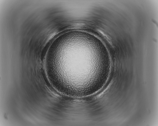 X0000091311449200708171404