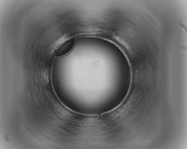 X0000091311451200708171404