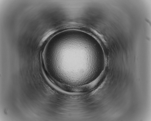 X0000091311453200708171404