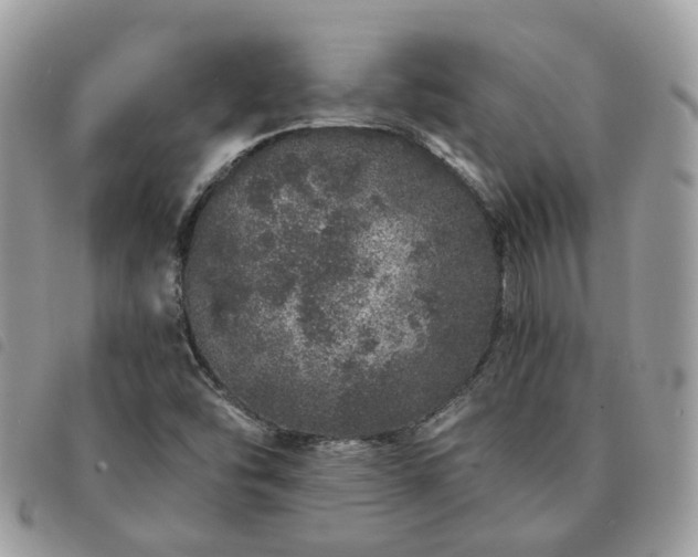 X0000091311454200708171404