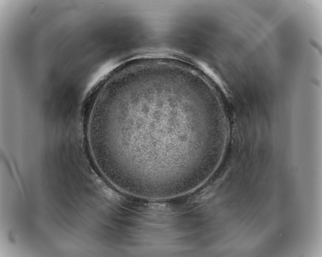 X0000091311456200708171404