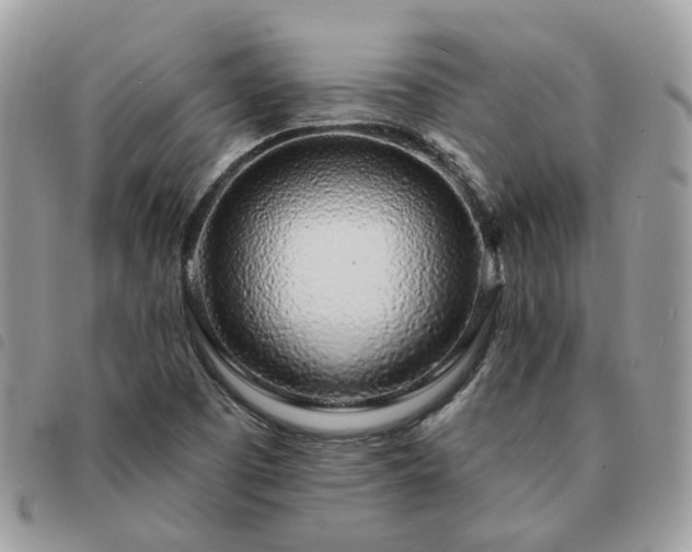 X0000091311457200708171404