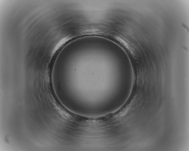 X0000091311458200708171404