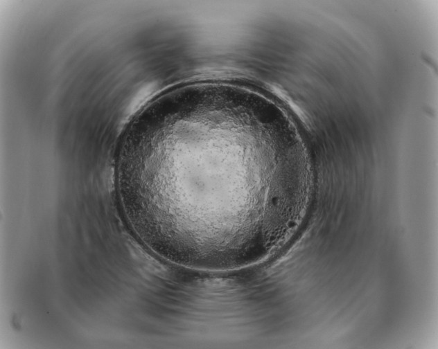 X0000091311459200708171404