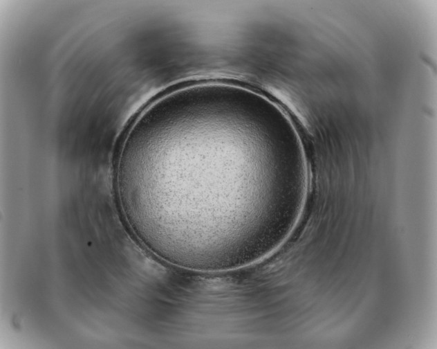 X0000091311460200708171404