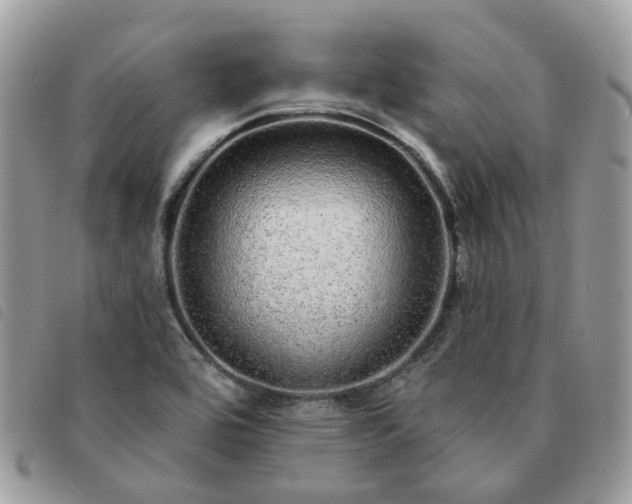 X0000091311464200708171404