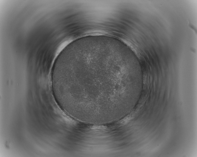 X0000091311466200708171404