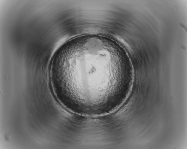 X0000091311467200708171404