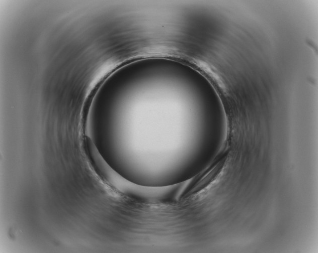 X0000091311469200708171404