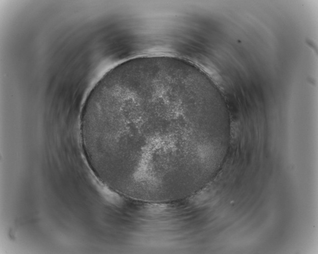 X0000091311470200708171404