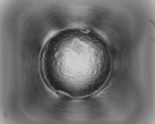 X0000091311471200708171404