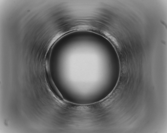 X0000091311473200708171404