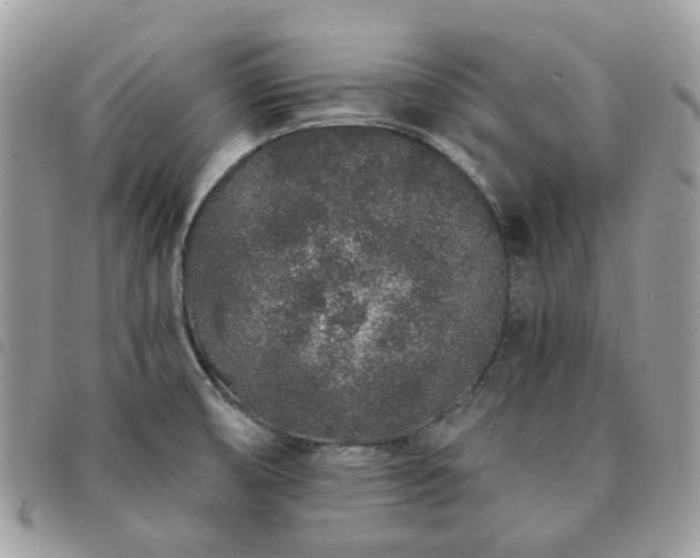 X0000091311474200708171404