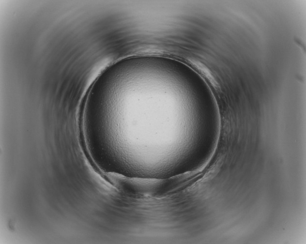 X0000091311475200708171404