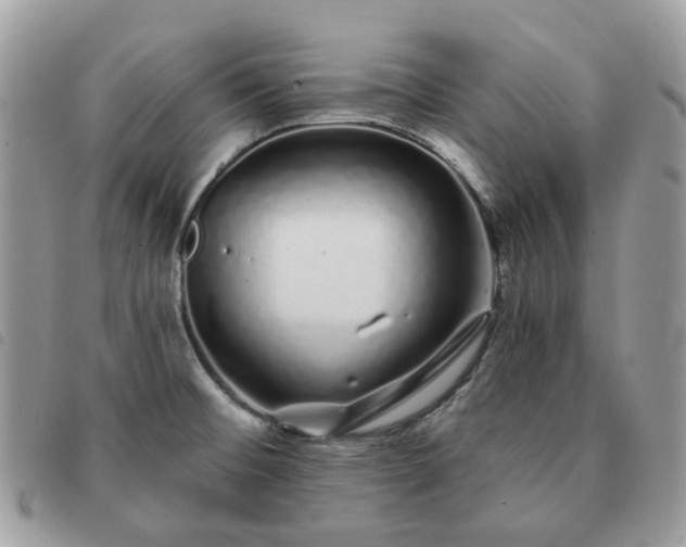 X0000091311476200708171404