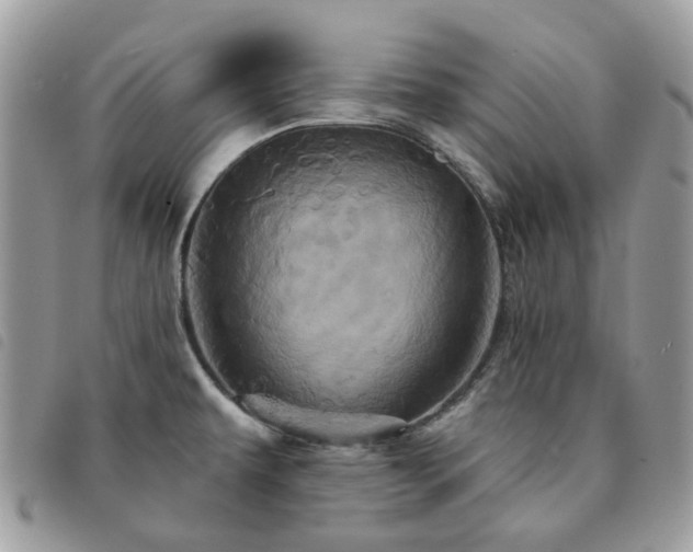 X0000091311479200708171403